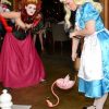 Mad Hatter Prop Hire Brisbane