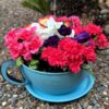 Giant blue tea cup with vibrant pink flowers