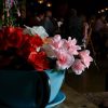 Alice in Wonderland Prop Hire Brisbane