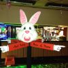Alice in Wonderland Events